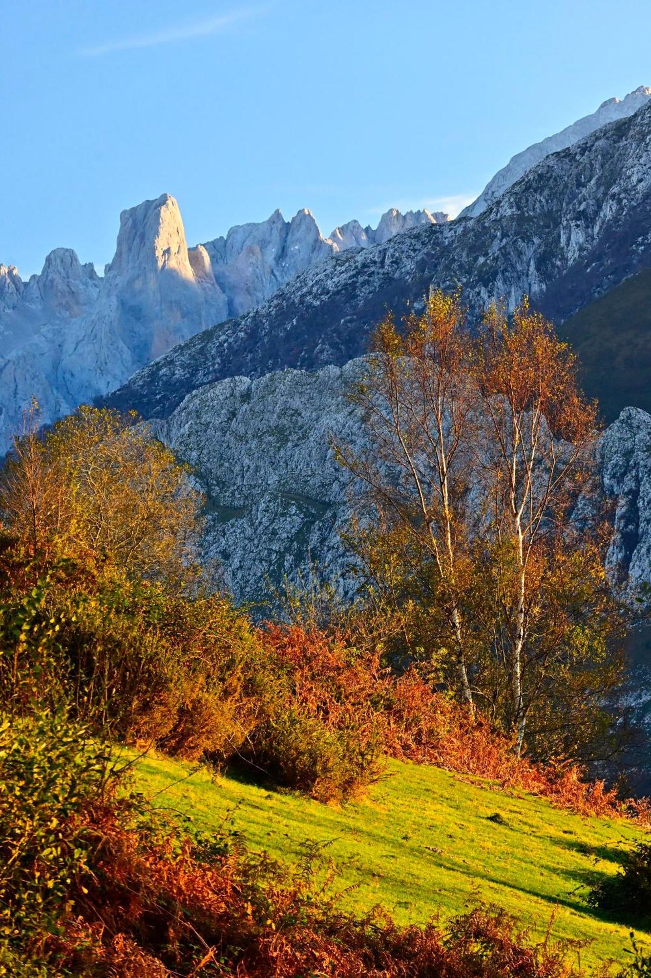La Cueva - Onis Avín